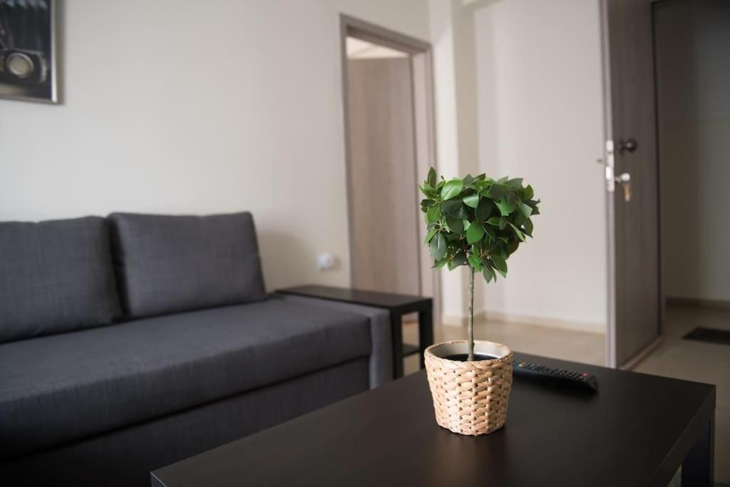 Markopoulosapartments Nea Moudania Exteriér fotografie