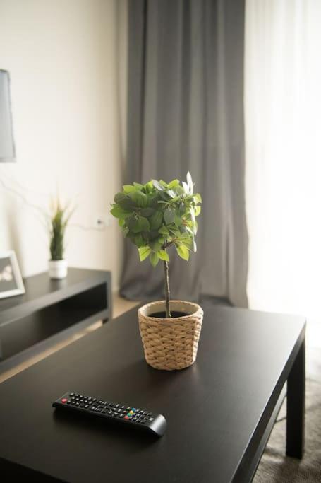 Markopoulosapartments Nea Moudania Exteriér fotografie