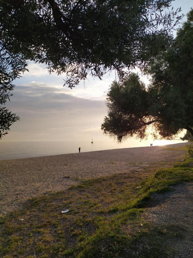 Markopoulosapartments Nea Moudania Exteriér fotografie